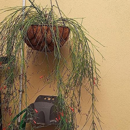 Apartament I Nuraghi II Cagliari Zewnętrze zdjęcie