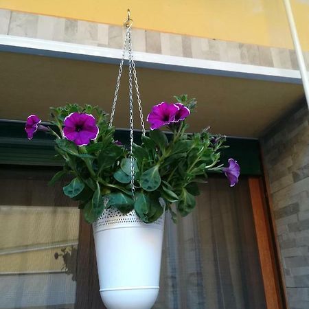 Apartament I Nuraghi II Cagliari Zewnętrze zdjęcie
