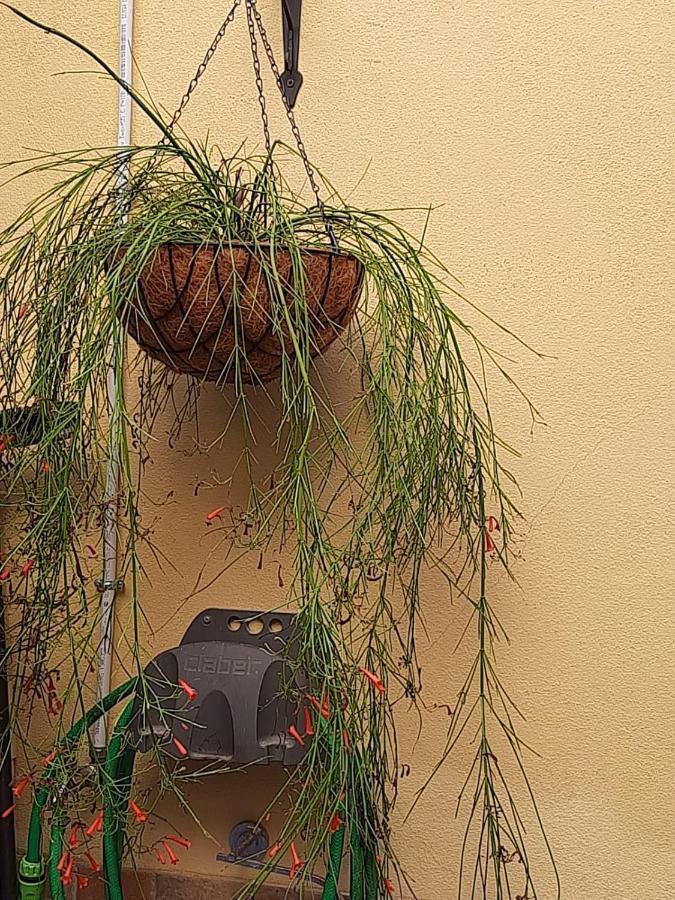 Apartament I Nuraghi II Cagliari Zewnętrze zdjęcie