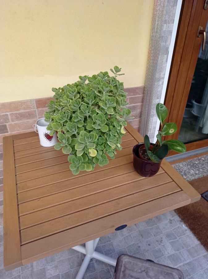 Apartament I Nuraghi II Cagliari Zewnętrze zdjęcie